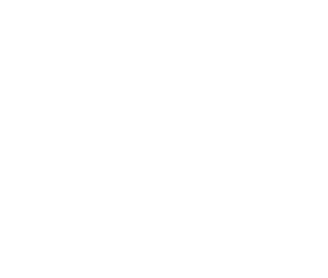 6LS logo