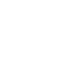 Abundant Life Village logo
