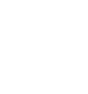 Make The Scene logo