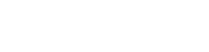 Success Savvy logo